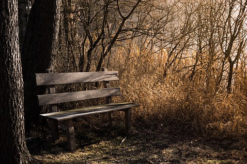 bench-1190768__340
